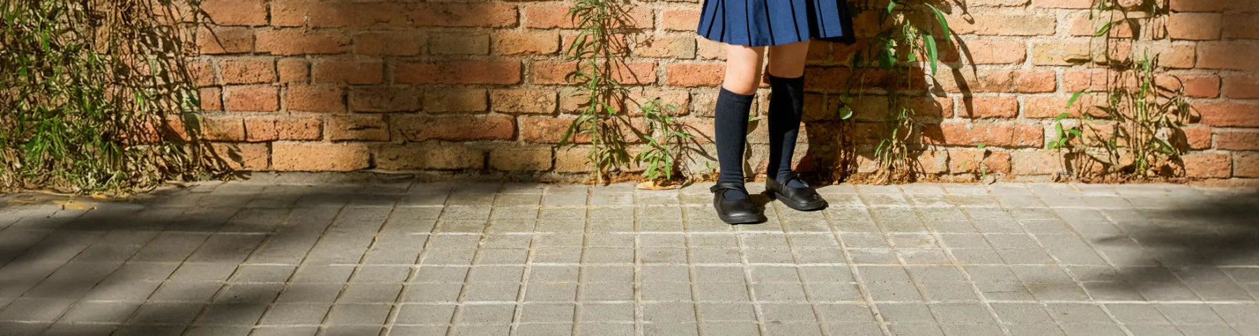 Kindergarten & School - MyMara