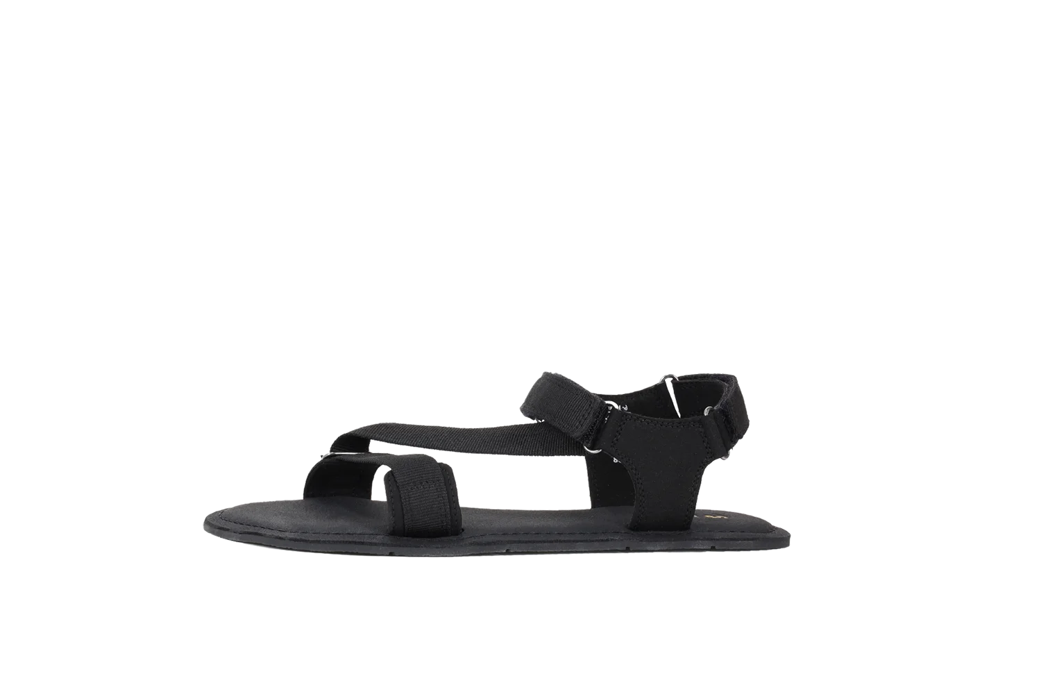 Flexi 2.0