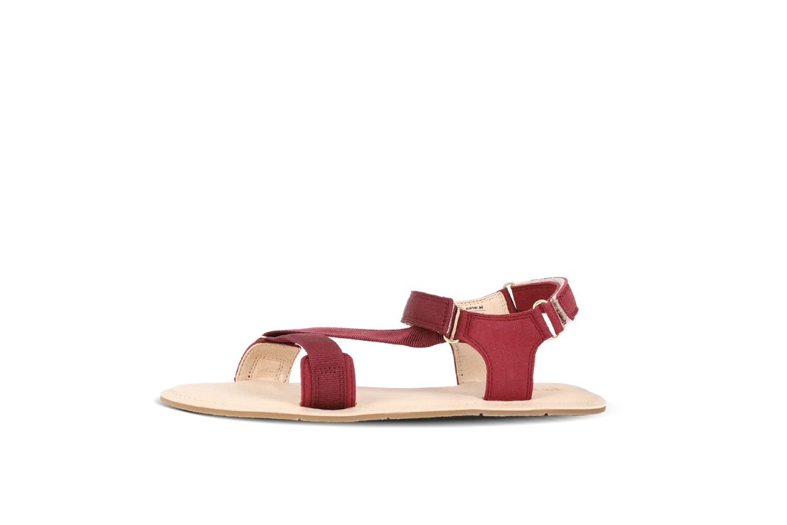 Flexi 2.0