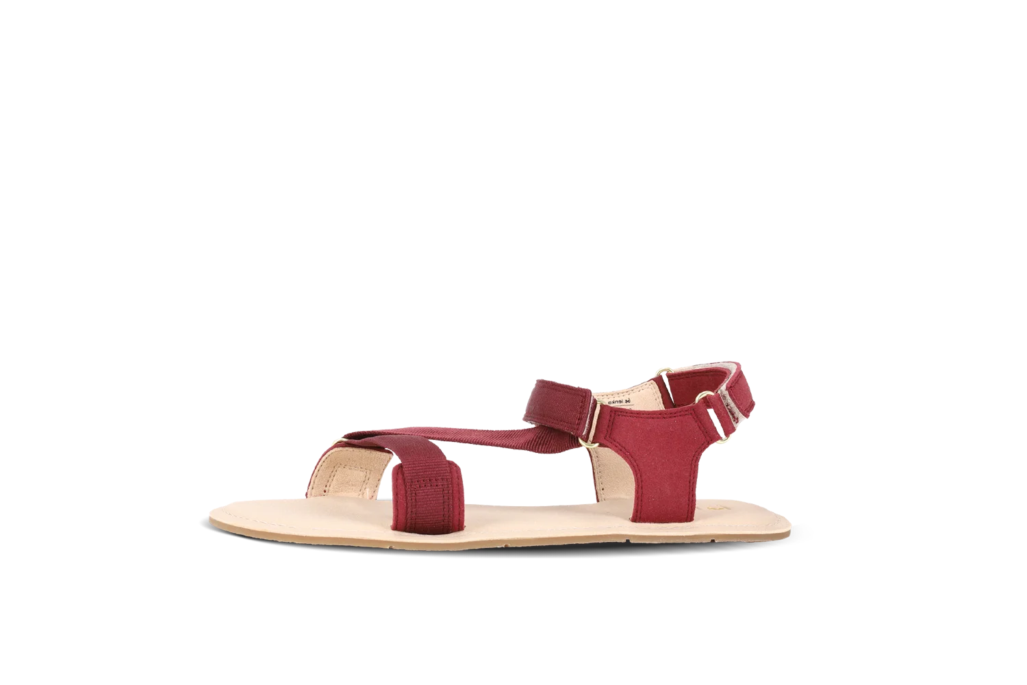 Flexi 2.0