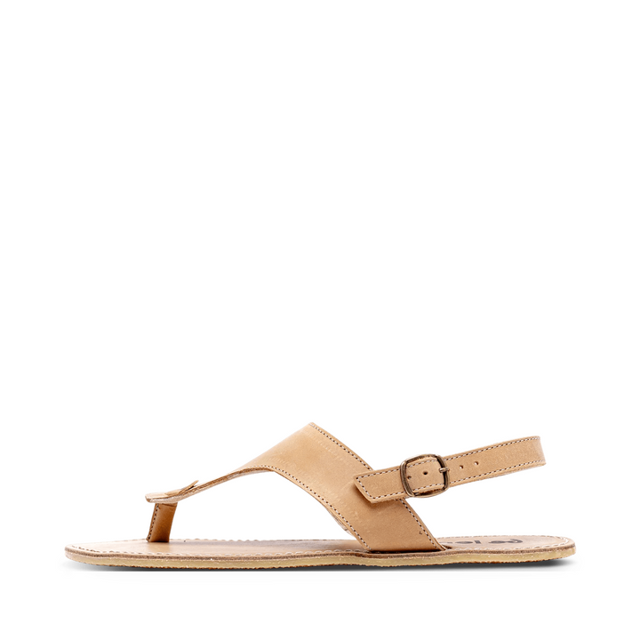 shopify-03640f88abbef7c90799a52f-d959fa7ed8e6510a