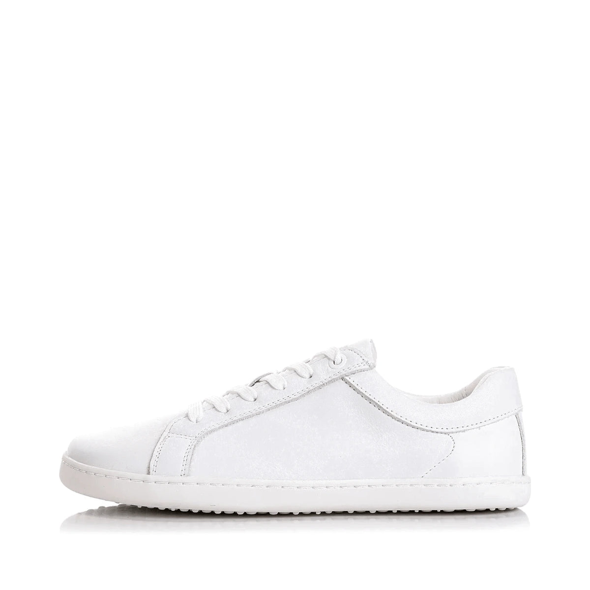 shopify-3410d1681a058e3ba0632e15-7579e5bbed26bea5