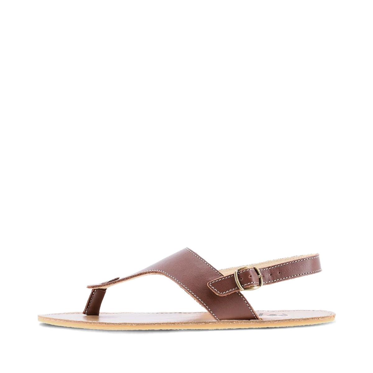 shopify-c3a909dfc4d3e370ac0fb70d-decd2b8fe67adcc5