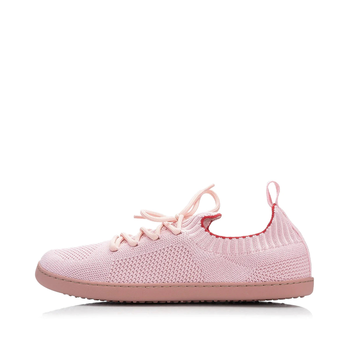 shopify-db1aa5d25989ce5a24ebcf9c-107eba8edd06e0b8