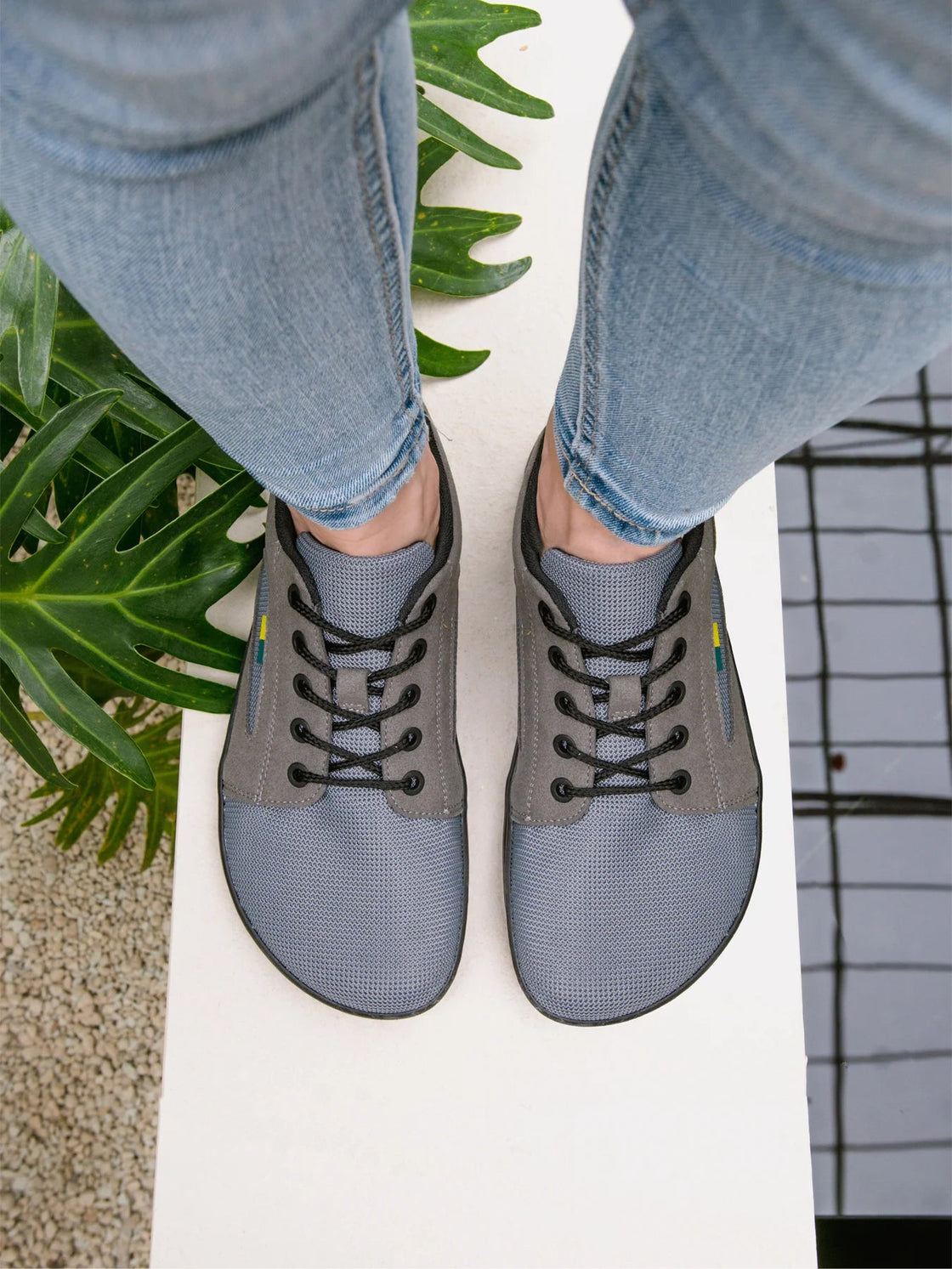 Whiz Sneakers - MyMara